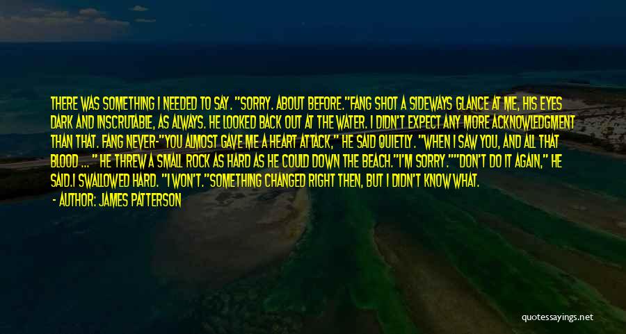 James Patterson Quotes: There Was Something I Needed To Say. Sorry. About Before.fang Shot A Sideways Glance At Me, His Eyes Dark And