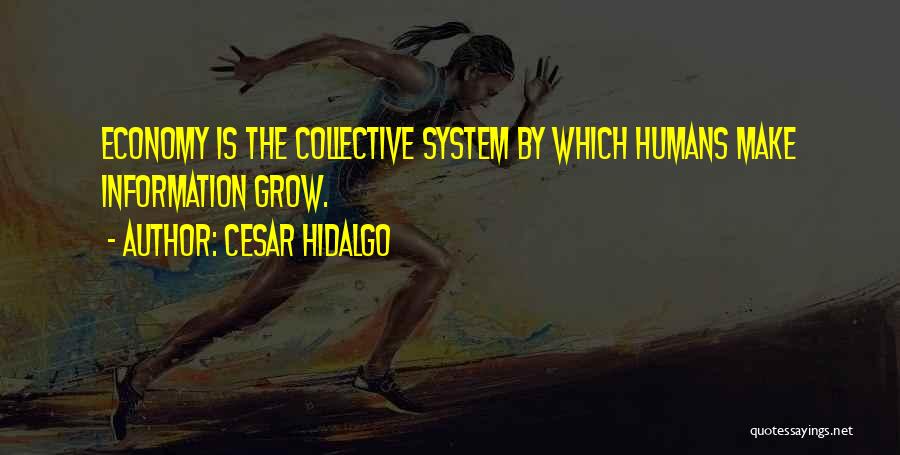 Cesar Hidalgo Quotes: Economy Is The Collective System By Which Humans Make Information Grow.