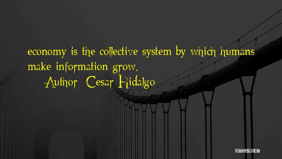 Cesar Hidalgo Quotes: Economy Is The Collective System By Which Humans Make Information Grow.
