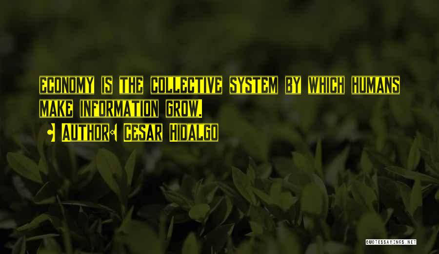 Cesar Hidalgo Quotes: Economy Is The Collective System By Which Humans Make Information Grow.