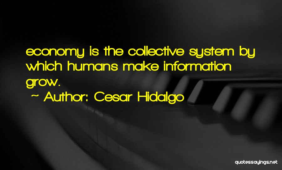 Cesar Hidalgo Quotes: Economy Is The Collective System By Which Humans Make Information Grow.