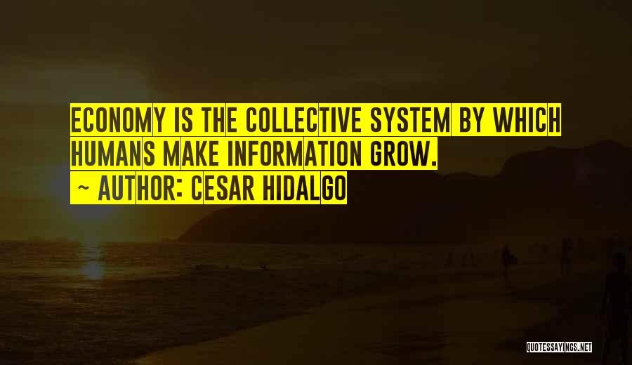 Cesar Hidalgo Quotes: Economy Is The Collective System By Which Humans Make Information Grow.