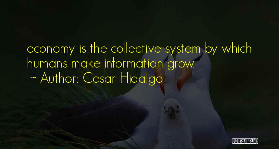 Cesar Hidalgo Quotes: Economy Is The Collective System By Which Humans Make Information Grow.