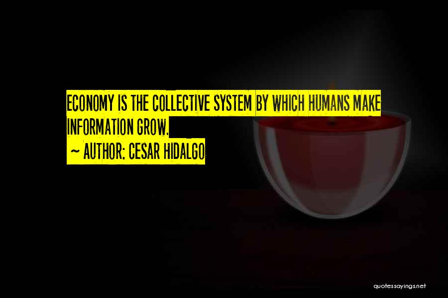 Cesar Hidalgo Quotes: Economy Is The Collective System By Which Humans Make Information Grow.