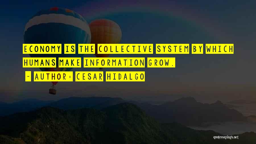 Cesar Hidalgo Quotes: Economy Is The Collective System By Which Humans Make Information Grow.