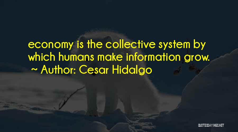 Cesar Hidalgo Quotes: Economy Is The Collective System By Which Humans Make Information Grow.