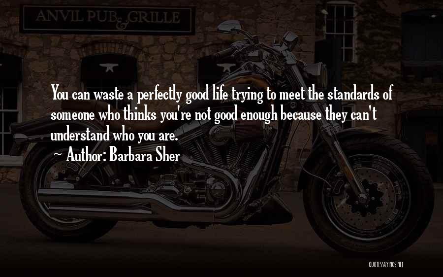 Barbara Sher Quotes: You Can Waste A Perfectly Good Life Trying To Meet The Standards Of Someone Who Thinks You're Not Good Enough