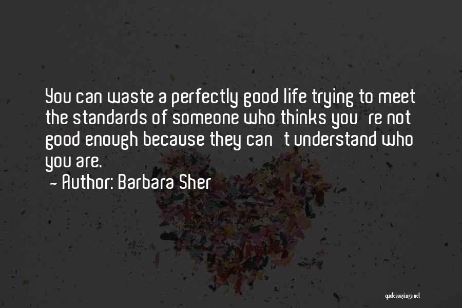 Barbara Sher Quotes: You Can Waste A Perfectly Good Life Trying To Meet The Standards Of Someone Who Thinks You're Not Good Enough