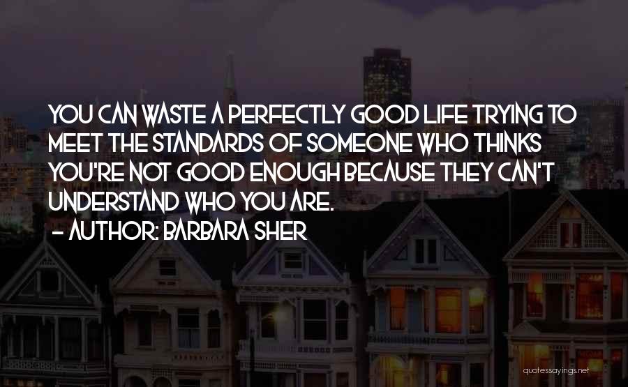 Barbara Sher Quotes: You Can Waste A Perfectly Good Life Trying To Meet The Standards Of Someone Who Thinks You're Not Good Enough