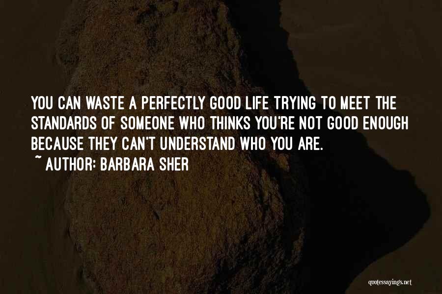 Barbara Sher Quotes: You Can Waste A Perfectly Good Life Trying To Meet The Standards Of Someone Who Thinks You're Not Good Enough