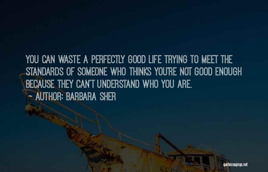 Barbara Sher Quotes: You Can Waste A Perfectly Good Life Trying To Meet The Standards Of Someone Who Thinks You're Not Good Enough