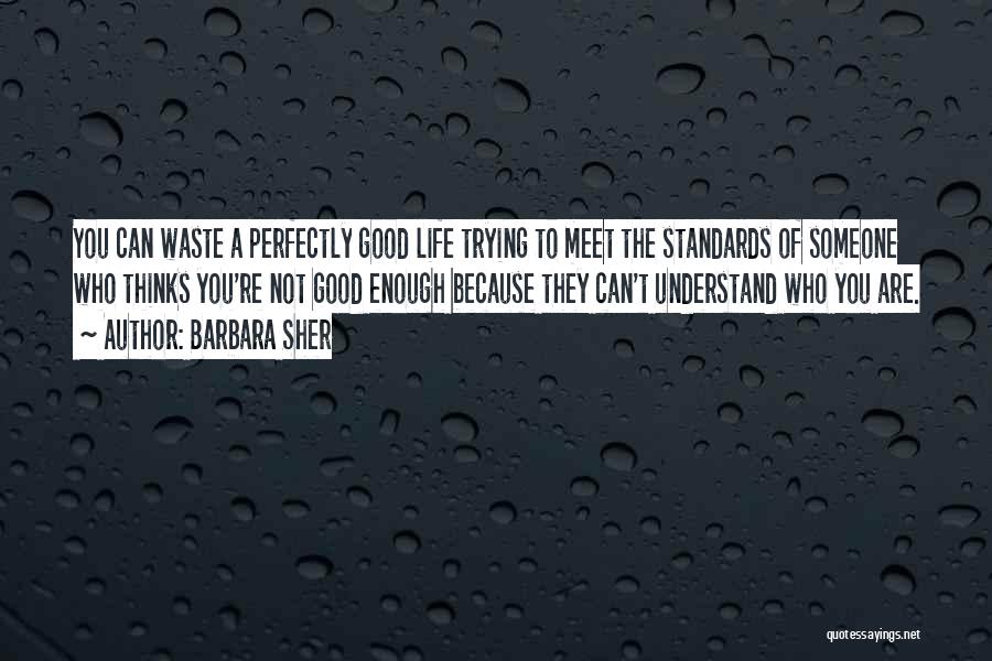 Barbara Sher Quotes: You Can Waste A Perfectly Good Life Trying To Meet The Standards Of Someone Who Thinks You're Not Good Enough