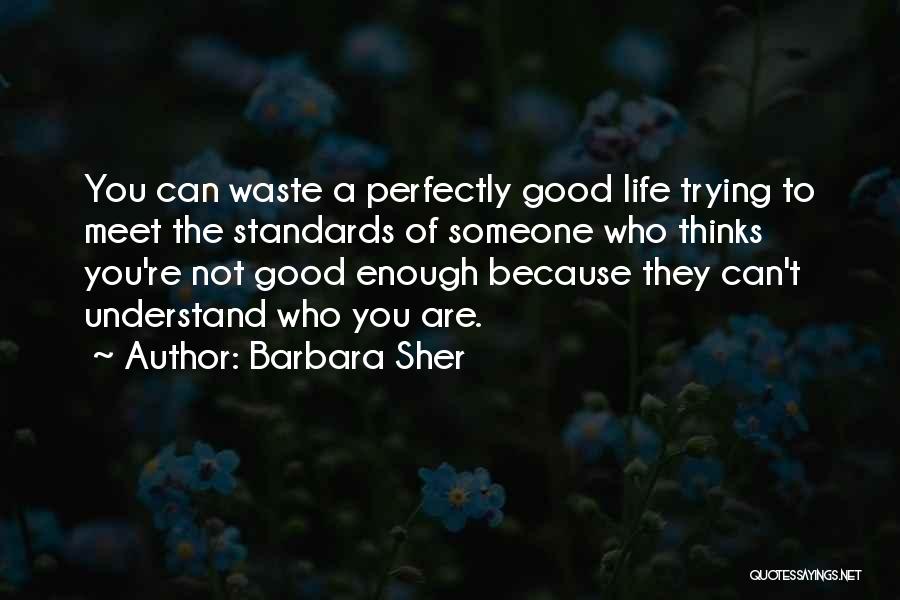 Barbara Sher Quotes: You Can Waste A Perfectly Good Life Trying To Meet The Standards Of Someone Who Thinks You're Not Good Enough