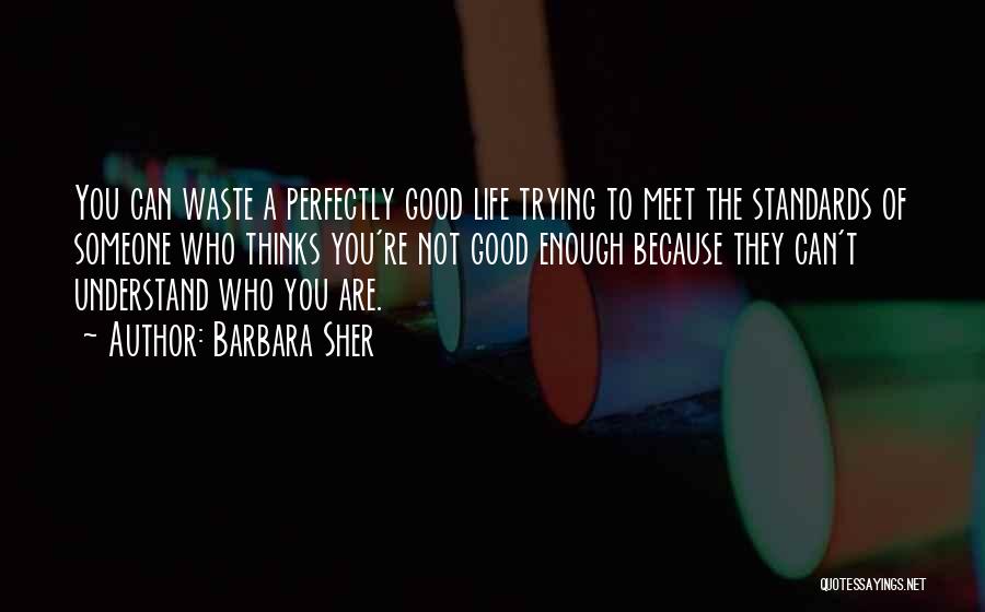 Barbara Sher Quotes: You Can Waste A Perfectly Good Life Trying To Meet The Standards Of Someone Who Thinks You're Not Good Enough