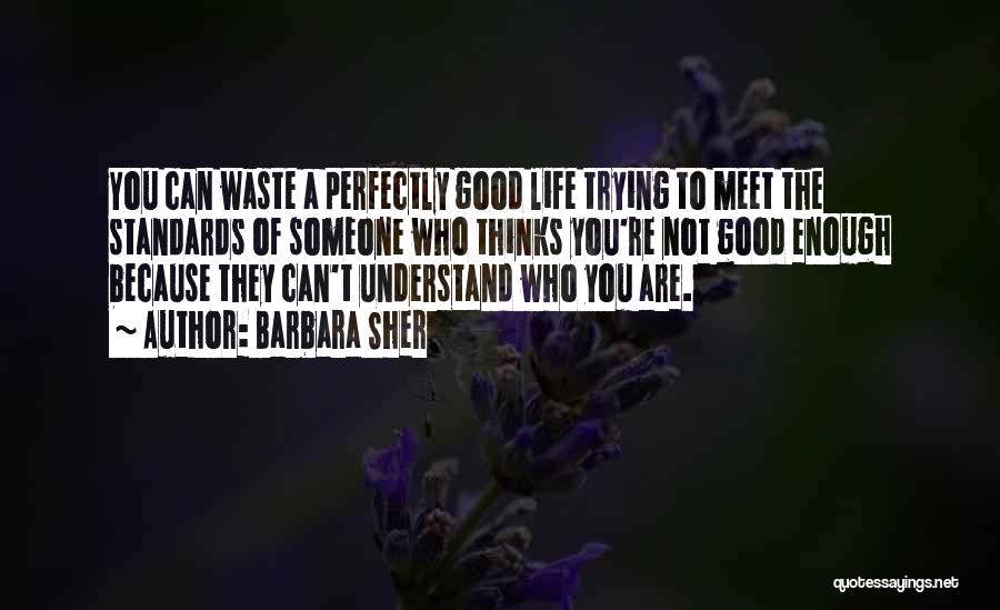 Barbara Sher Quotes: You Can Waste A Perfectly Good Life Trying To Meet The Standards Of Someone Who Thinks You're Not Good Enough