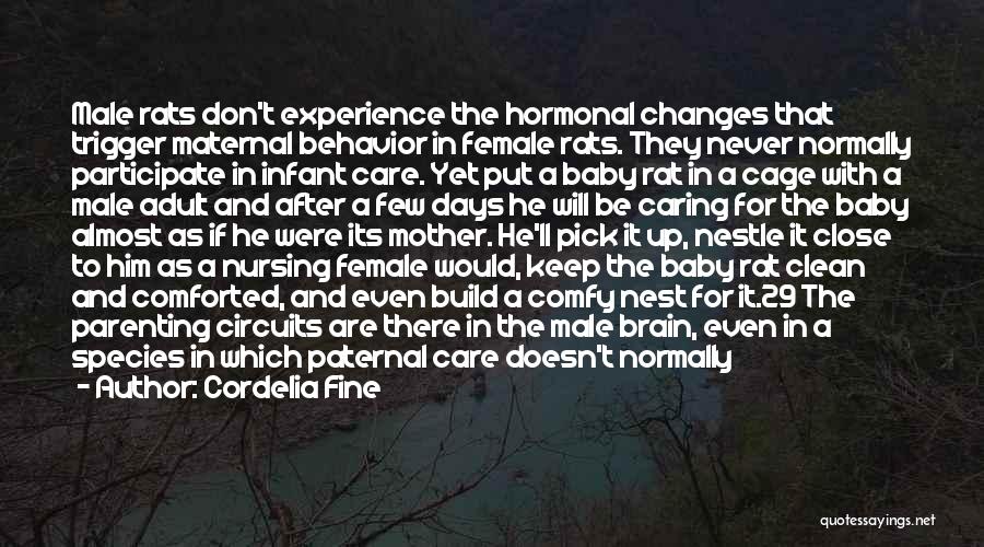 Cordelia Fine Quotes: Male Rats Don't Experience The Hormonal Changes That Trigger Maternal Behavior In Female Rats. They Never Normally Participate In Infant