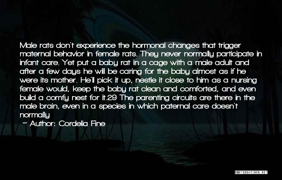 Cordelia Fine Quotes: Male Rats Don't Experience The Hormonal Changes That Trigger Maternal Behavior In Female Rats. They Never Normally Participate In Infant