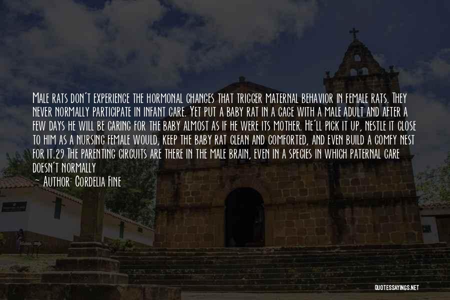 Cordelia Fine Quotes: Male Rats Don't Experience The Hormonal Changes That Trigger Maternal Behavior In Female Rats. They Never Normally Participate In Infant
