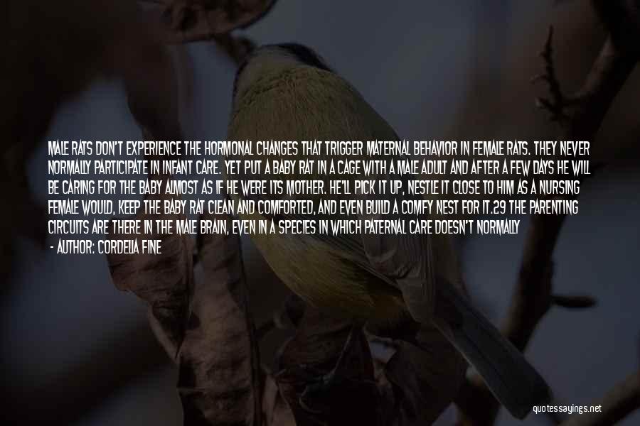 Cordelia Fine Quotes: Male Rats Don't Experience The Hormonal Changes That Trigger Maternal Behavior In Female Rats. They Never Normally Participate In Infant