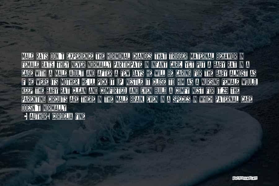 Cordelia Fine Quotes: Male Rats Don't Experience The Hormonal Changes That Trigger Maternal Behavior In Female Rats. They Never Normally Participate In Infant