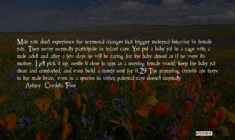 Cordelia Fine Quotes: Male Rats Don't Experience The Hormonal Changes That Trigger Maternal Behavior In Female Rats. They Never Normally Participate In Infant