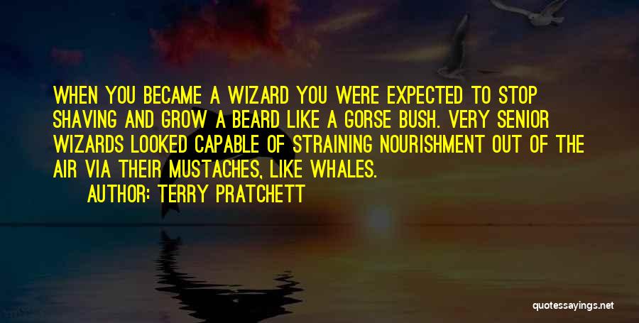 Terry Pratchett Quotes: When You Became A Wizard You Were Expected To Stop Shaving And Grow A Beard Like A Gorse Bush. Very