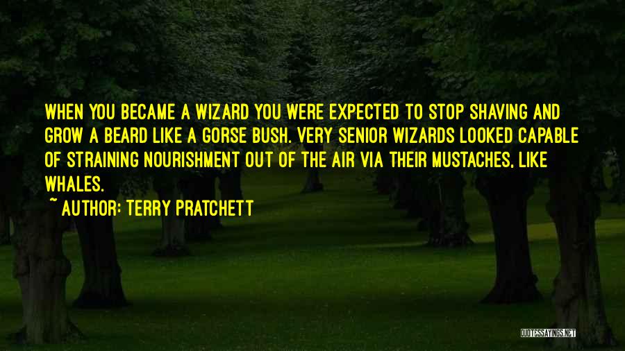 Terry Pratchett Quotes: When You Became A Wizard You Were Expected To Stop Shaving And Grow A Beard Like A Gorse Bush. Very
