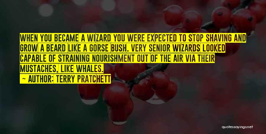 Terry Pratchett Quotes: When You Became A Wizard You Were Expected To Stop Shaving And Grow A Beard Like A Gorse Bush. Very