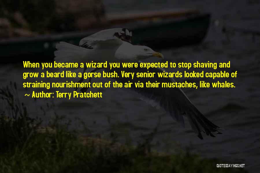 Terry Pratchett Quotes: When You Became A Wizard You Were Expected To Stop Shaving And Grow A Beard Like A Gorse Bush. Very