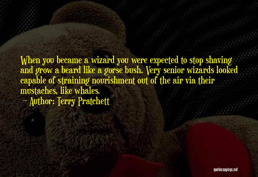 Terry Pratchett Quotes: When You Became A Wizard You Were Expected To Stop Shaving And Grow A Beard Like A Gorse Bush. Very