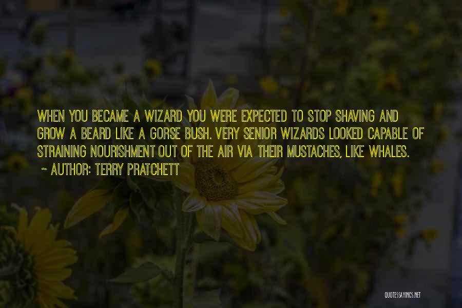 Terry Pratchett Quotes: When You Became A Wizard You Were Expected To Stop Shaving And Grow A Beard Like A Gorse Bush. Very