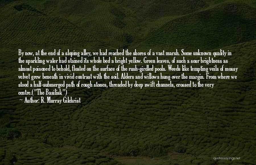 R. Murray Gilchrist Quotes: By Now, At The End Of A Sloping Alley, We Had Reached The Shores Of A Vast Marsh. Some Unknown