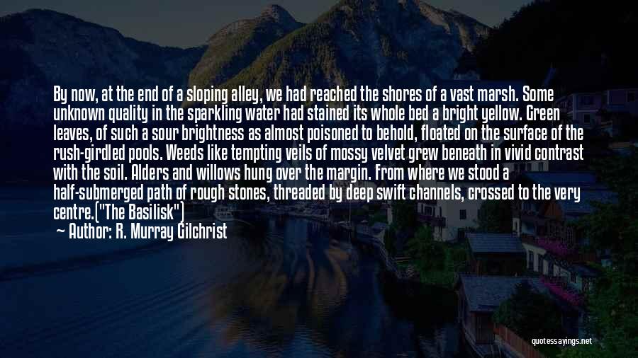R. Murray Gilchrist Quotes: By Now, At The End Of A Sloping Alley, We Had Reached The Shores Of A Vast Marsh. Some Unknown
