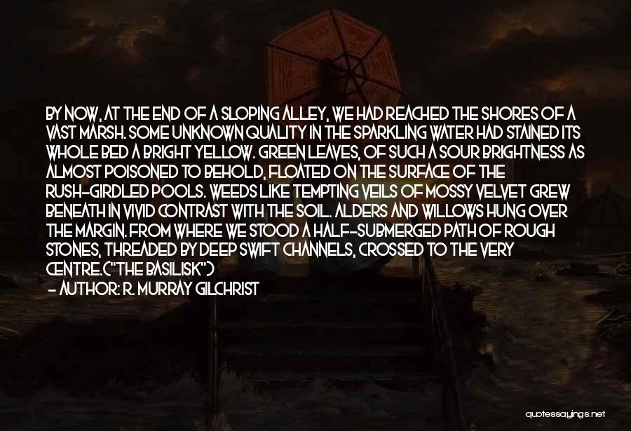 R. Murray Gilchrist Quotes: By Now, At The End Of A Sloping Alley, We Had Reached The Shores Of A Vast Marsh. Some Unknown