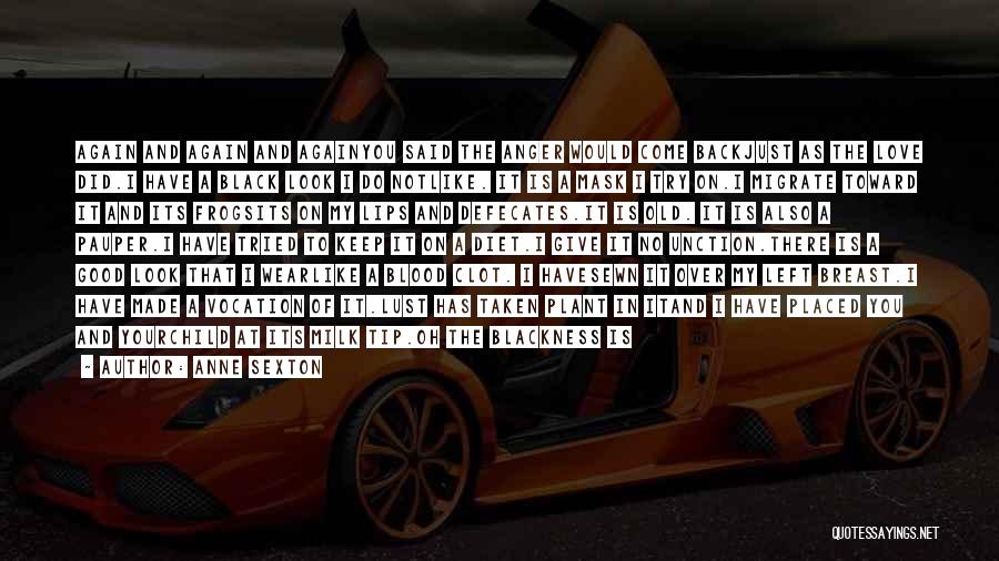 Anne Sexton Quotes: Again And Again And Againyou Said The Anger Would Come Backjust As The Love Did.i Have A Black Look I