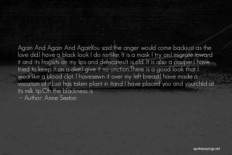 Anne Sexton Quotes: Again And Again And Againyou Said The Anger Would Come Backjust As The Love Did.i Have A Black Look I