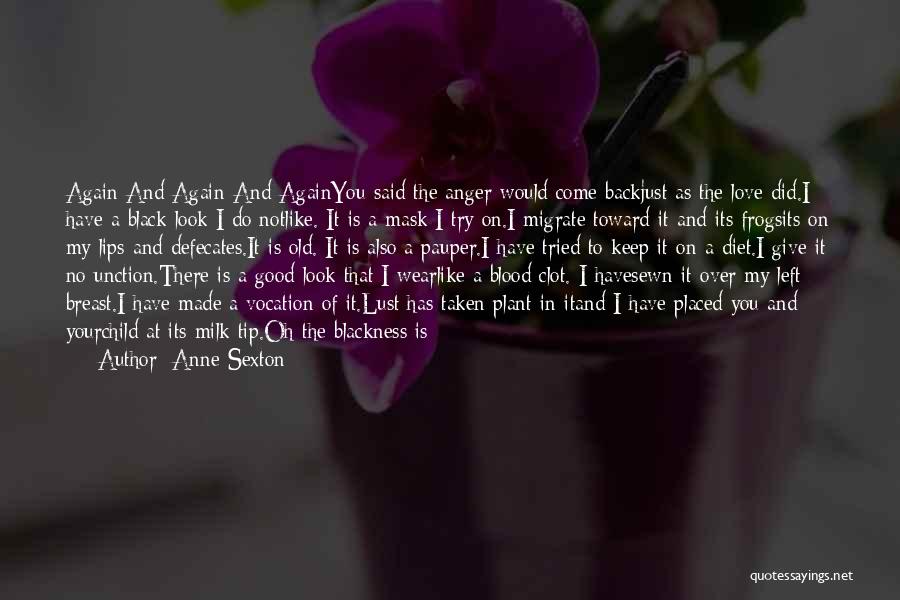 Anne Sexton Quotes: Again And Again And Againyou Said The Anger Would Come Backjust As The Love Did.i Have A Black Look I