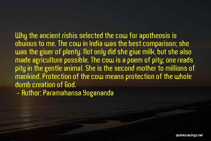 Paramahansa Yogananda Quotes: Why The Ancient Rishis Selected The Cow For Apotheosis Is Obvious To Me. The Cow In India Was The Best