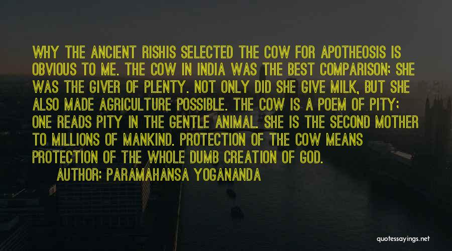 Paramahansa Yogananda Quotes: Why The Ancient Rishis Selected The Cow For Apotheosis Is Obvious To Me. The Cow In India Was The Best