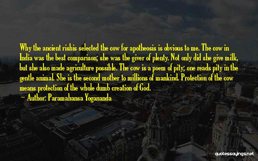 Paramahansa Yogananda Quotes: Why The Ancient Rishis Selected The Cow For Apotheosis Is Obvious To Me. The Cow In India Was The Best