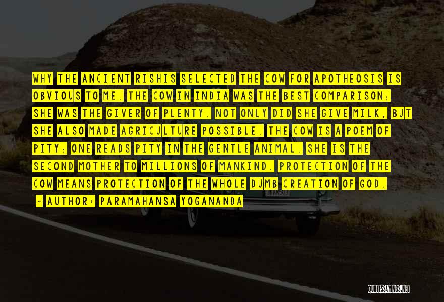 Paramahansa Yogananda Quotes: Why The Ancient Rishis Selected The Cow For Apotheosis Is Obvious To Me. The Cow In India Was The Best