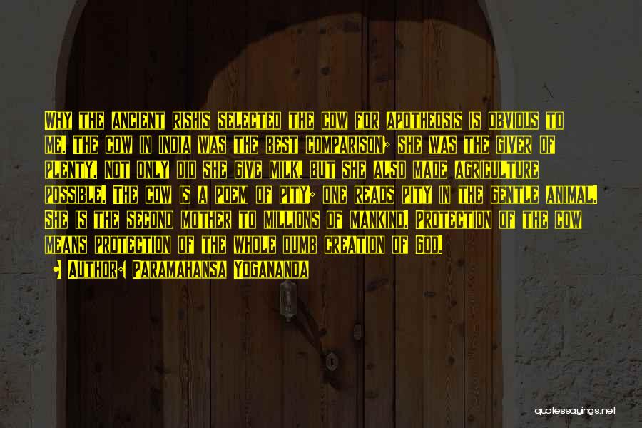 Paramahansa Yogananda Quotes: Why The Ancient Rishis Selected The Cow For Apotheosis Is Obvious To Me. The Cow In India Was The Best