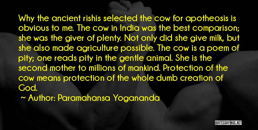 Paramahansa Yogananda Quotes: Why The Ancient Rishis Selected The Cow For Apotheosis Is Obvious To Me. The Cow In India Was The Best