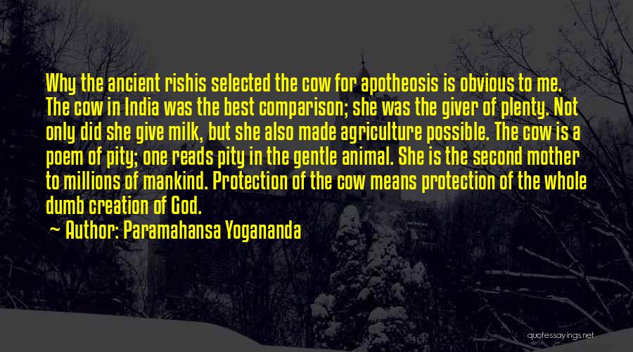 Paramahansa Yogananda Quotes: Why The Ancient Rishis Selected The Cow For Apotheosis Is Obvious To Me. The Cow In India Was The Best