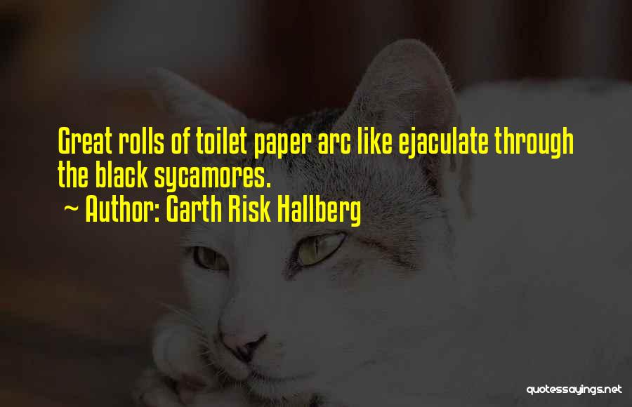 Garth Risk Hallberg Quotes: Great Rolls Of Toilet Paper Arc Like Ejaculate Through The Black Sycamores.