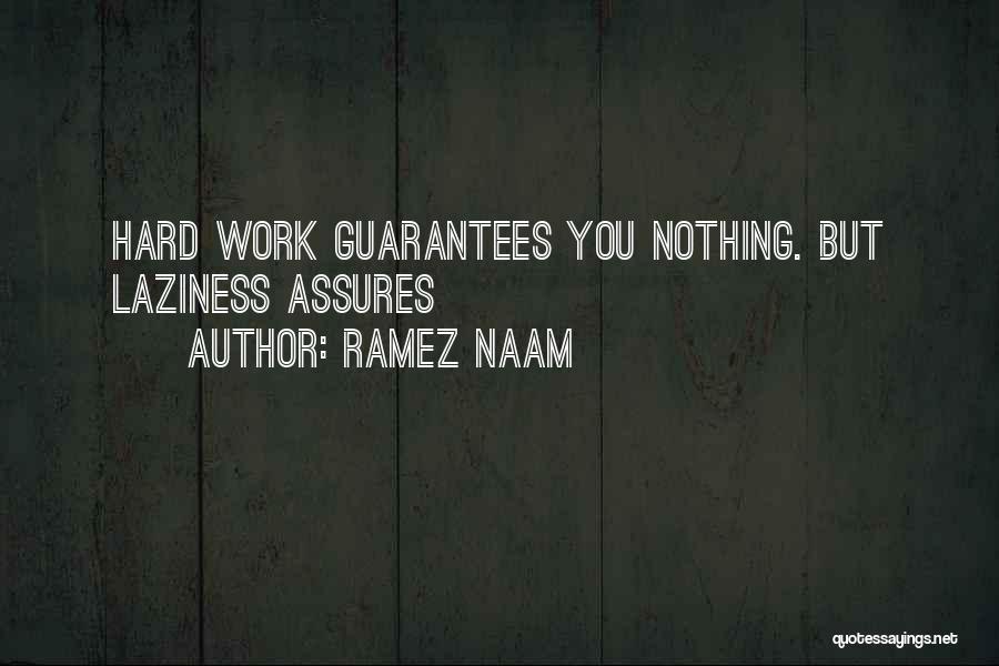 Ramez Naam Quotes: Hard Work Guarantees You Nothing. But Laziness Assures