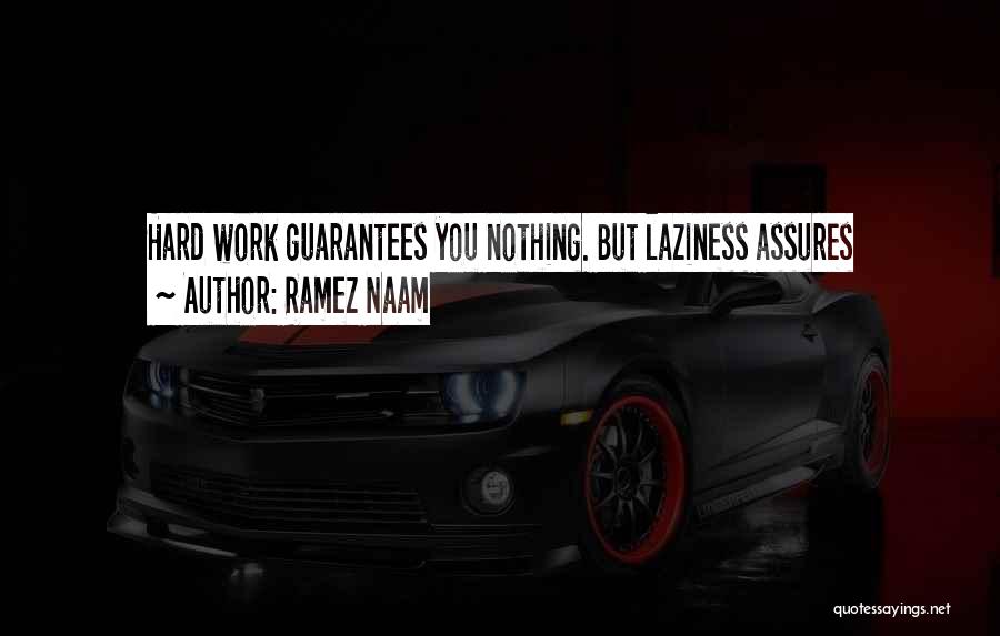 Ramez Naam Quotes: Hard Work Guarantees You Nothing. But Laziness Assures