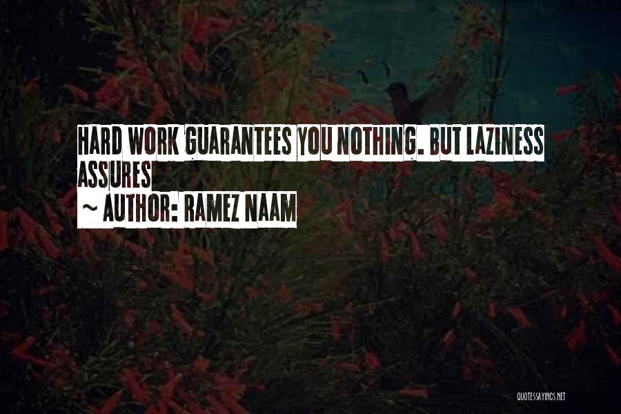 Ramez Naam Quotes: Hard Work Guarantees You Nothing. But Laziness Assures