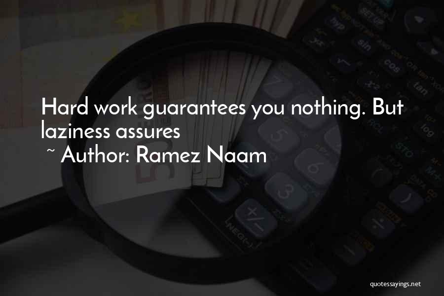 Ramez Naam Quotes: Hard Work Guarantees You Nothing. But Laziness Assures