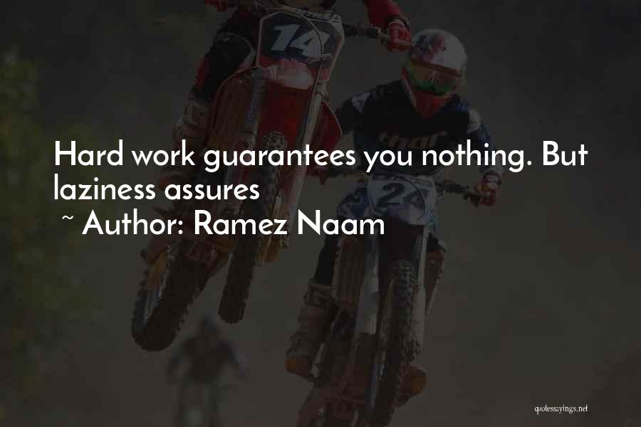 Ramez Naam Quotes: Hard Work Guarantees You Nothing. But Laziness Assures